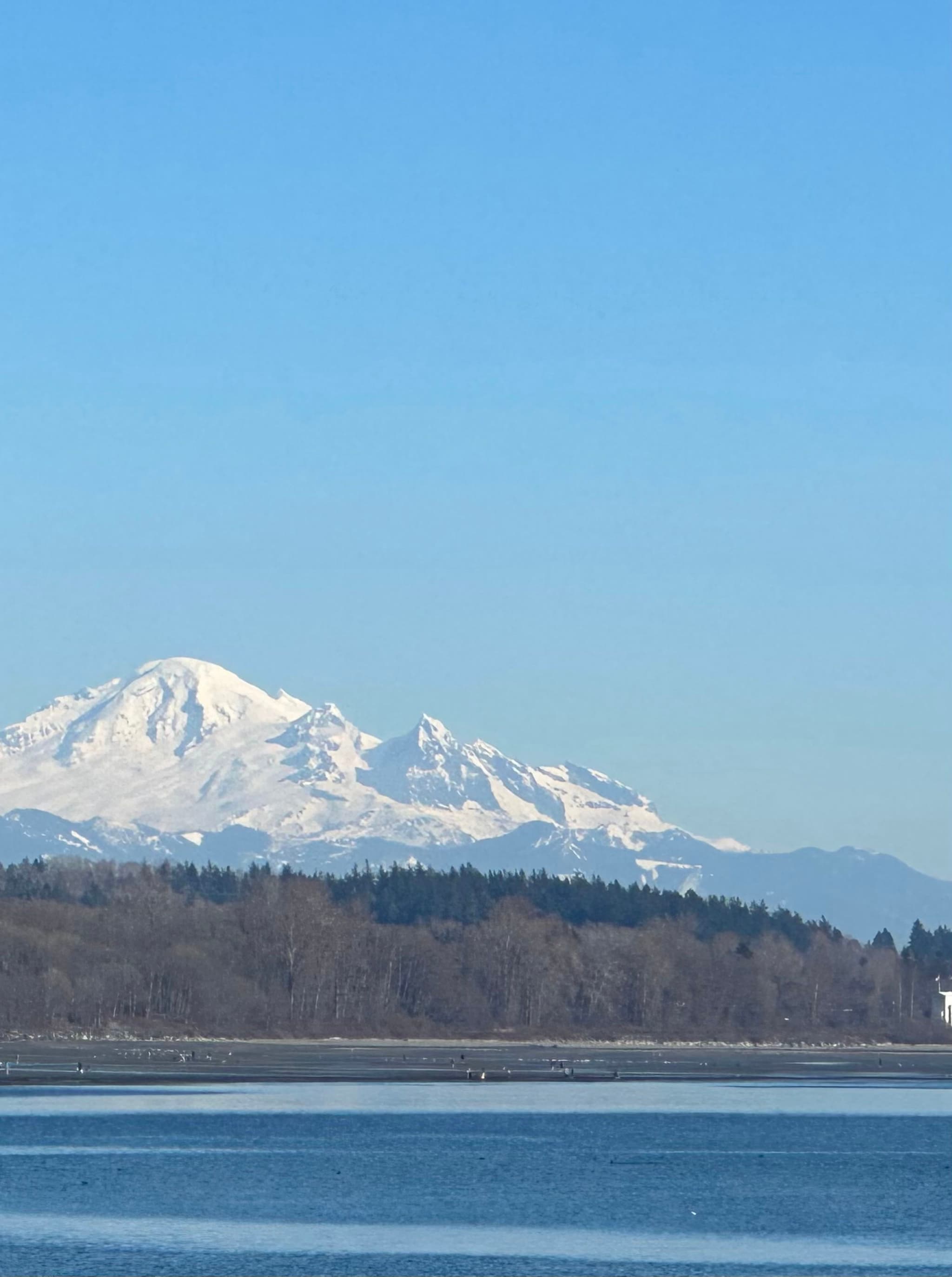 Snowy Peaks