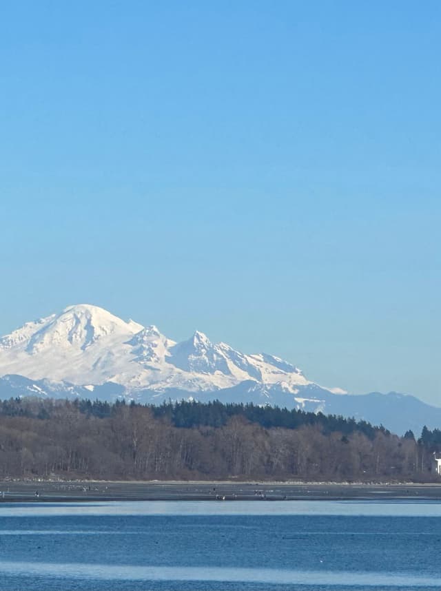 Snowy Peaks